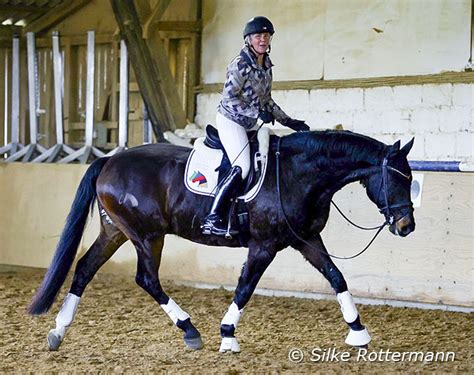 eurodressage|More.